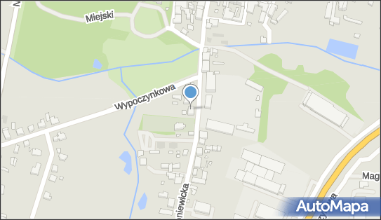 Polskie Stowarzyszenie Na Rzecz Osób z Niepełnosprawnością Intelektualną Koło Grodzisk WLKP. 62-065 - Przedsiębiorstwo, Firma, numer telefonu, NIP: 9950118330