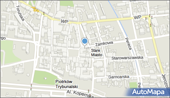 7710108377, Polskie Towarzystwo Turystyczno Krajoznawcze Oddział im.Michała Rawity Witanowskiego w Piotrkowie Trybunalskim 