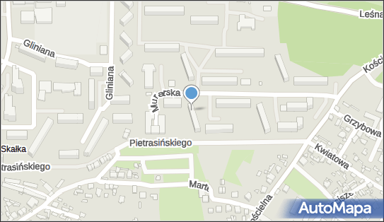 6641995327, Pomoc Psychologiczna i Psychoterapia Paweł Kędziora 
