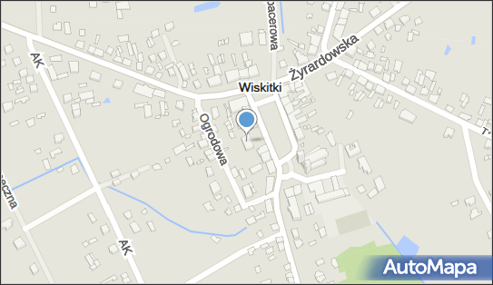 Pomocna Dłoń, Plac Wolności 5, Wiskitki 96-315 - Przedsiębiorstwo, Firma, NIP: 8380009128