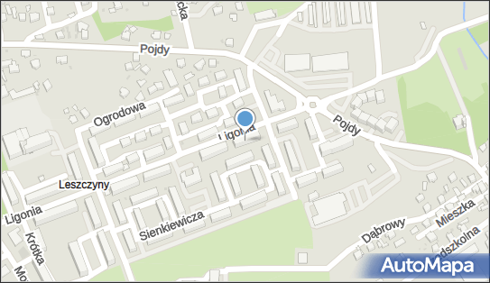 Pomp-Tech Mirosław Wlazły, ul. Ligonia 3 A, Czerwionka-Leszczyny 44-238 - Przedsiębiorstwo, Firma, NIP: 9690416236