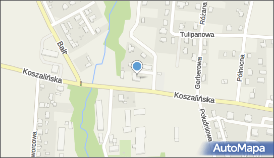 6691109782, Posejdon Jerzy Kaliszewski 