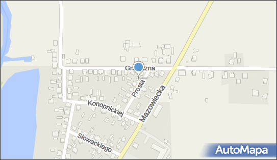 Pośredctwo Ubezpieczeniowe, Prosta 11, Maków Mazowiecki 06-200 - Przedsiębiorstwo, Firma, NIP: 7571084376