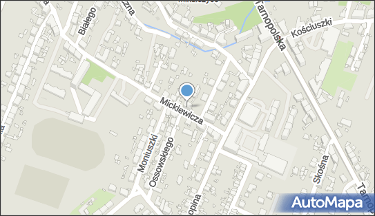 Pośrednictwo Finansowe i Handlowe, ul. Adama Mickiewicza 93 41-807 - Przedsiębiorstwo, Firma, NIP: 6481252881