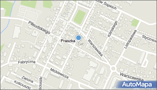 Pośrednictwo Finansowo Ubezpieczeniowe Martex, Praszka 46-320 - Przedsiębiorstwo, Firma, NIP: 5761539732