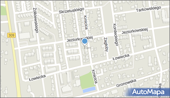 Pośrednictwo Ubezpieczeniowe Leszno, ul. Andrzeja Kmicica 7A 64-100 - Przedsiębiorstwo, Firma, NIP: 6971043469