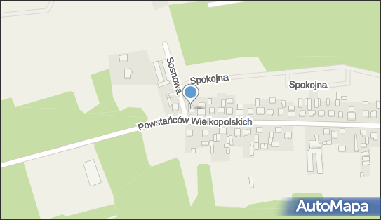 411112376, Pośrednictwo Ubezpieczeniowe Grażyna Błaszczyk, Nowa Wieś 