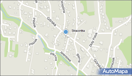 Pośrednictwo Ubezpieczeniowe Procner Anna, Górska 124 43-318 - Przedsiębiorstwo, Firma, NIP: 5471517805