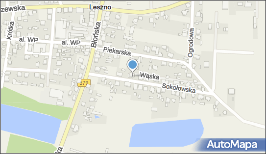 5290018814, Pośrednictwo Ubezpieczeniowe Sobczyk Maria 