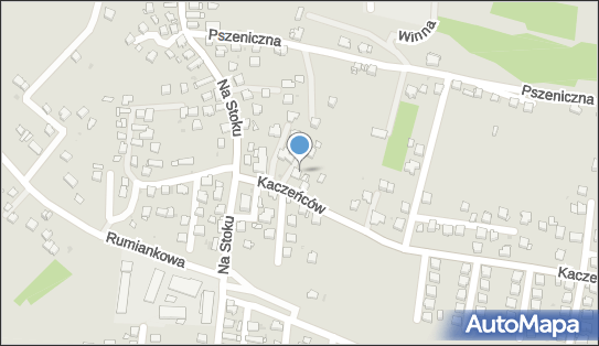 6321025567, Palińska-Nowak Beata 