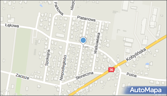 Pośrednictwo Ubezpieczeniowe, Kamińskiego 10, Miejska Górka 63-910 - Przedsiębiorstwo, Firma, NIP: 6991322505