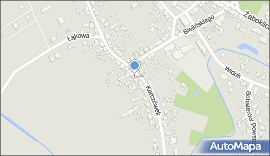 5321606996, Pośrednictwo Drobiem Anna Olszewska 