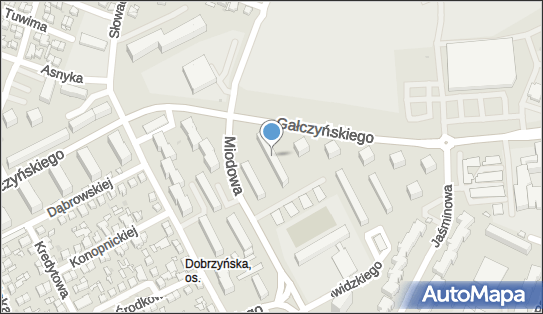 Pośrednik Ubezpieczeniowy Adamowska Irena, Płock 09-400 - Przedsiębiorstwo, Firma, NIP: 7741182357