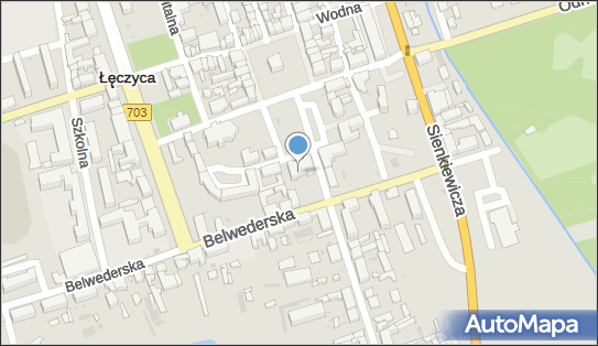 5070011299, Powiat Łęczycki 
