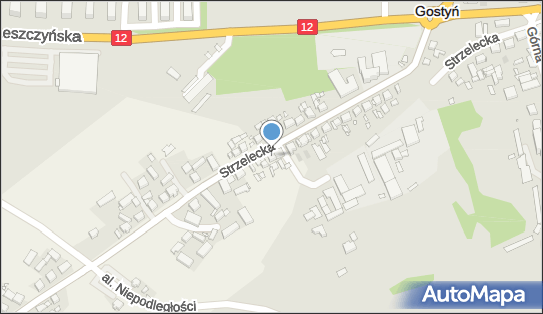 Poz Agro, Brzezie 3, Brzezie 63-000 - Przedsiębiorstwo, Firma, NIP: 7772871431
