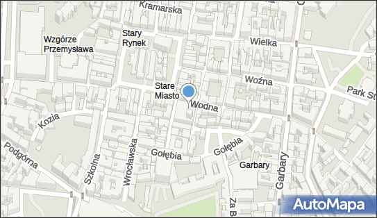 Poznańskie Towarzystwo Prehistoryczne, Wodna 27, Poznań 61-781 - Przedsiębiorstwo, Firma, numer telefonu, NIP: 7781020336