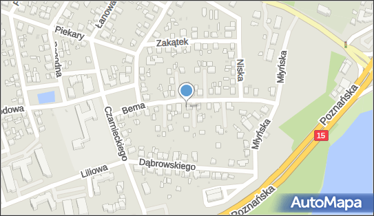 PPH.Aura-Plus Aurelia Górska-Zbierańska, ul. gen. Józefa Bema 17 62-200 - Przedsiębiorstwo, Firma, NIP: 7841151882