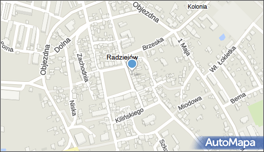 PPHU Adam i Ewa Ewa Wolańska, ul. Rynek 10, Radziejów 88-200 - Przedsiębiorstwo, Firma, NIP: 8890002898