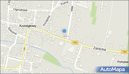 PPHU Agadi Adam Łuszczyk, Żarecka 47, Koziegłowy 42-350 - Przedsiębiorstwo, Firma, NIP: 5771910197
