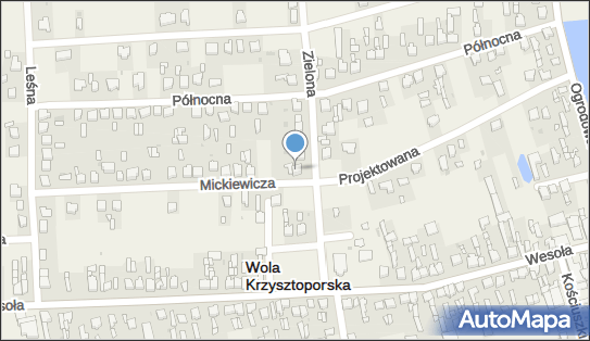 590275576, PPHU 