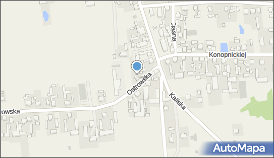 9680813906, PPHU 