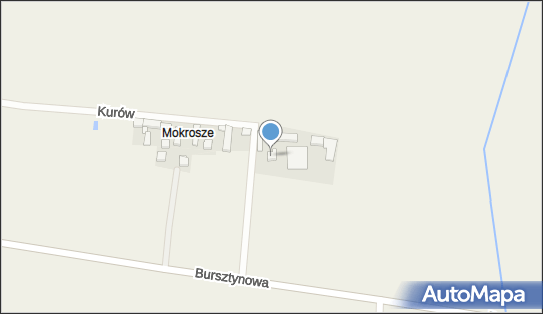 PPHU Mierzwiak Józef Mierzwiak, Kurów 184, Kurów 98-300 - Przedsiębiorstwo, Firma, NIP: 8321715936
