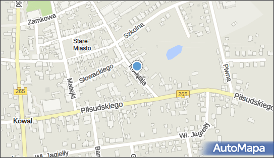 910913118, PPHU 