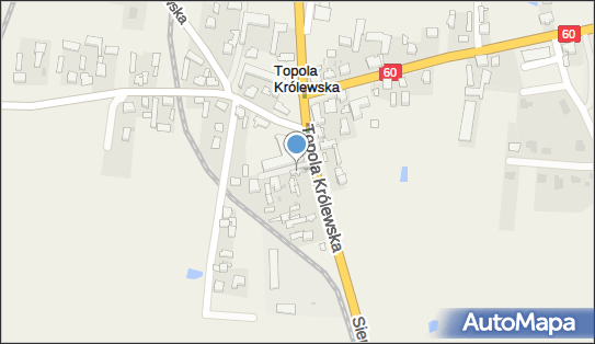 PPHU Pik-Pas Katarzyna Andrysiak-Marczewska, Topola Królewska 37A 99-100 - Przedsiębiorstwo, Firma, NIP: 7752311083