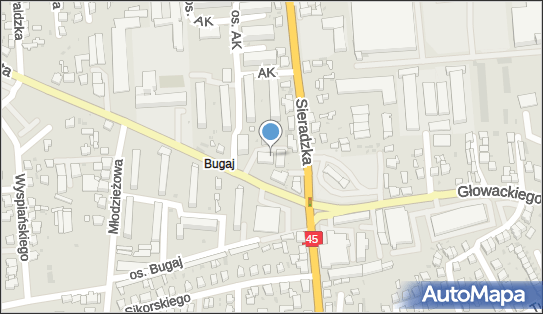 PPHU Roma Izabela Kamińska, Osiedle Armii Krajowej 16 98-300 - Przedsiębiorstwo, Firma, NIP: 8321816554