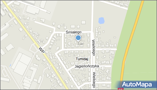 PPHU Wabis Gerard Paluszkiewicz, ul. Władysława Jagiełły 19 63-200 - Przedsiębiorstwo, Firma, NIP: 6171290551