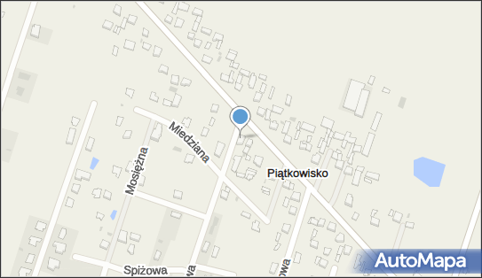 Pphutęcza 2, Piątkowisko 34A, Piątkowisko 95-200 - Przedsiębiorstwo, Firma, NIP: 7311047361