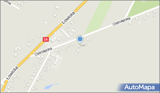Ppuht Flintrans, Ostrołęcka 11, Głowno 95-015 - Przedsiębiorstwo, Firma, NIP: 7331313920