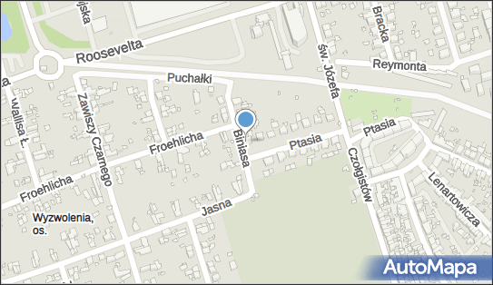 PR Projekt Piotr Raczyński, Ptasia 19, Zabrze 41-800 - Przedsiębiorstwo, Firma, NIP: 6482561271
