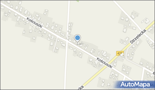 Prace Geodezyjne, ul. Kościuszki 159A, Piotrówka 47-133 - Przedsiębiorstwo, Firma, NIP: 7561024823