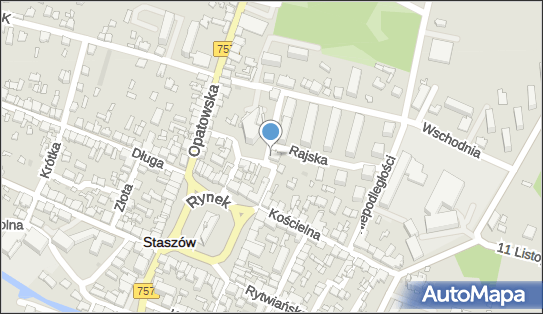 Pracowania Artystyczna Papierowy Ptak Anna Ptak, Ogrodowa 6 28-200 - Przedsiębiorstwo, Firma, NIP: 8661665232