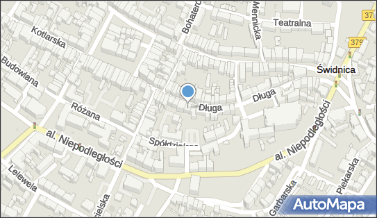 8821388618, Pracownia Florystyczna Henryk Suchy 