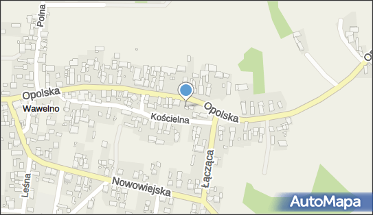 Pracownia Florystyki Natalia Kubis, Opolska 28b, Wawelno 46-070 - Przedsiębiorstwo, Firma, NIP: 9910191912