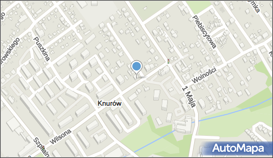 Pracownia Geodezyjno Kartograficzna, ul. Wilsona 8, Knurów 44-190 - Przedsiębiorstwo, Firma, numer telefonu, NIP: 9690264683