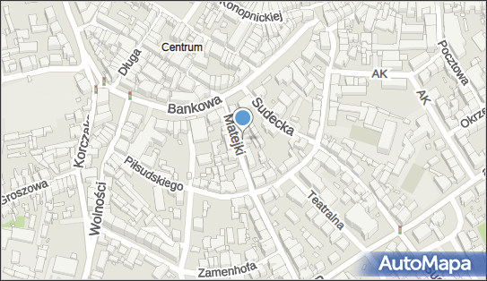 Pracownia Ortopedyczna Orto-Medicus Jacek Adamski, Jelenia Góra 58-500 - Przedsiębiorstwo, Firma, NIP: 6111174835