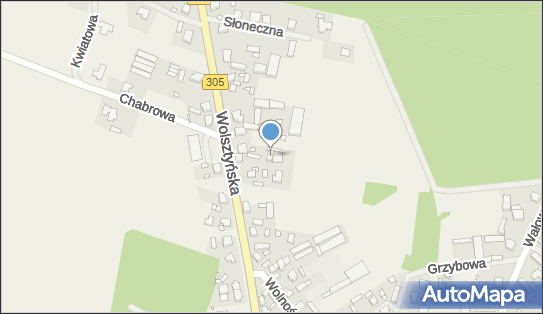 9231657006, Pracownia Piękna Sylwia Lorenc 
