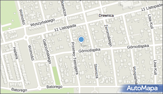 1250914109, Pracownia Szyldów Sosnowska Jadwiga 