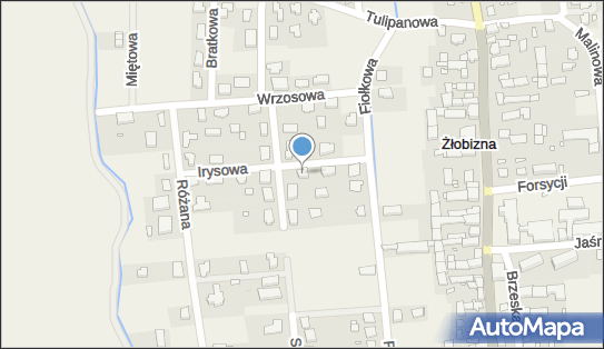 6112344570, Praktyka Lekarska Aldona Adamczyk-Krawiec 
