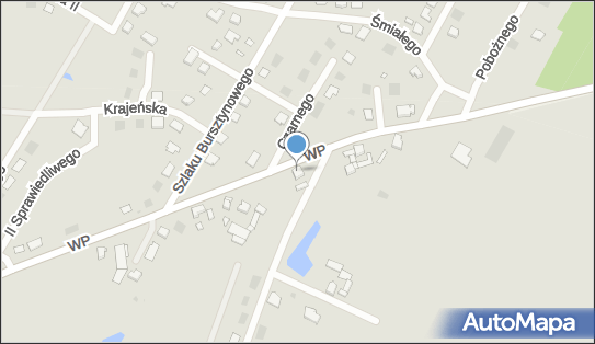 5040048895, Praktyka Lekarska Alicja Dywel 