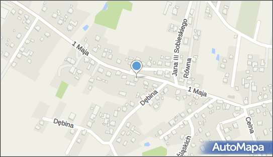 Praktyka Lekarska i Radiologiczna, ul. 1 Maja 20, Gołkowice 44-341 - Przedsiębiorstwo, Firma, NIP: 6331862804