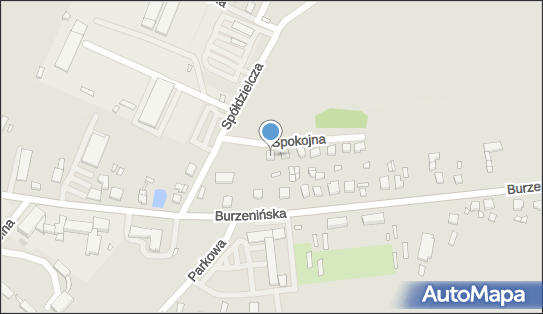 8271032559, Praktyka Lekarska Na Wezwanie Barbara Kluszczyńska 