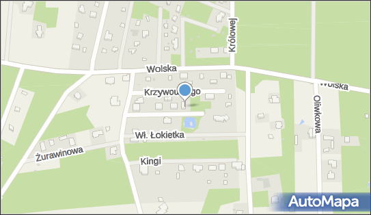 Praktyka Lekarska Ogólna, ul. Przemysława II 7 95-070 - Przedsiębiorstwo, Firma, NIP: 7282435071