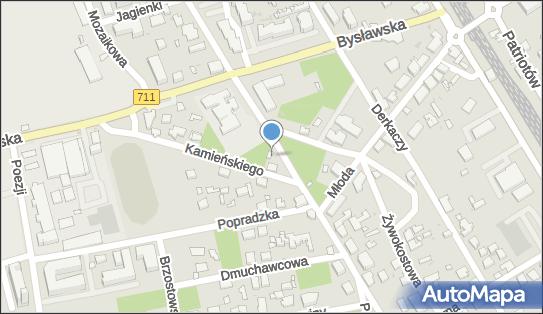 9521196200, Piotr Pogorzelski 