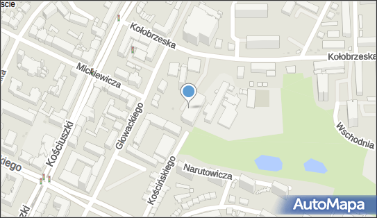 Praktyka Lekarska Wizyty Domowe, ul. Kołobrzeska 7A, Olsztyn 10-444 - Przedsiębiorstwo, Firma, NIP: 7392033907