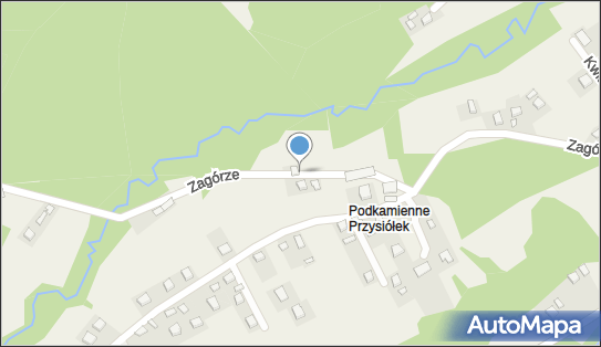 7341816806, Praktyka Lekarska Lek.Med.Witold Mikołajewski 