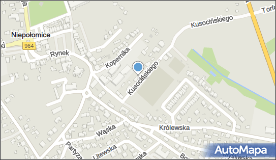 Praktyka Lekarska, ul. Kusocińskiego 3, Niepołomice 32-005 - Przedsiębiorstwo, Firma, NIP: 9452017883